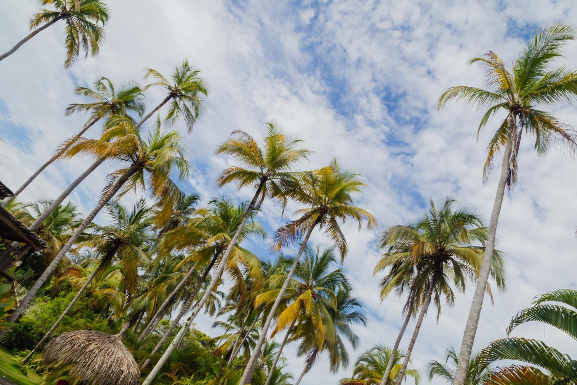 Solea Villa Tropical Σάντα Μάρτα Εξωτερικό φωτογραφία