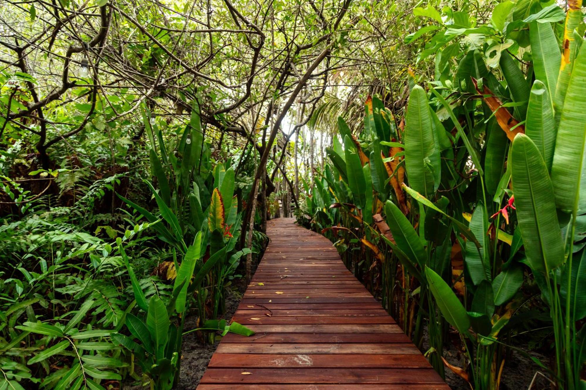 Solea Villa Tropical Σάντα Μάρτα Εξωτερικό φωτογραφία